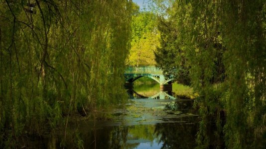 green bridge.jpg
