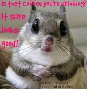 IMG_0028.jpeg