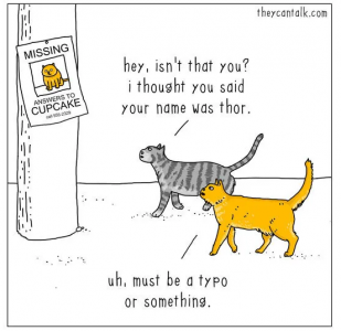 1000007954.png