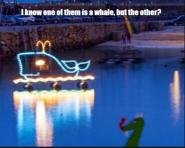 whale.jpg