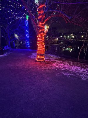IMG_7146.jpeg