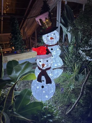 IMG_7156.jpeg