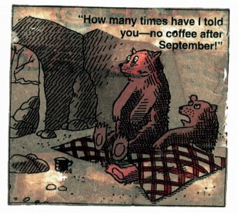 bearscoffee.jpg
