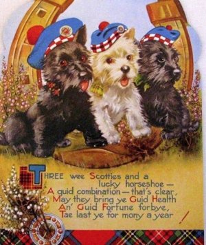 Scotties 3.NY..jpg