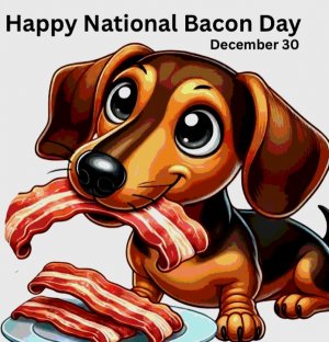 Screenshot_20241230-143214_Samsung Internet.jpg