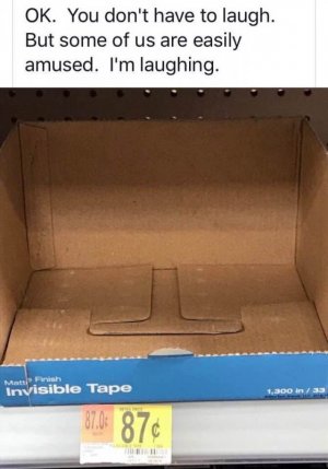 IMG_9986.jpeg