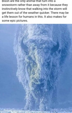 1000003709.jpg