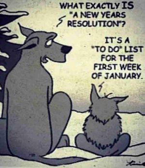 new-years-memes-9-887x1024-2395508618.jpg