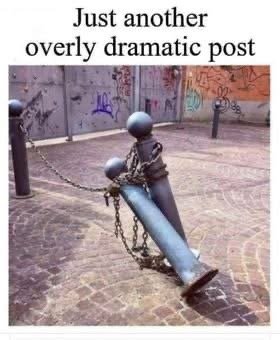 IMG_0071.jpeg