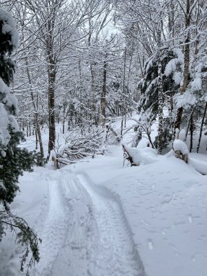 IMG_9237.jpeg IMG_9237.jpeg