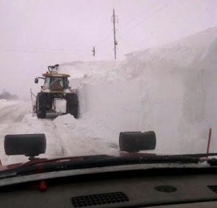 Plow Near Home.jpg Plow Near Home.jpg