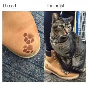 1000008181.jpg