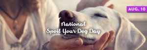 Spoil-Your-Dog-Day-1.jpg