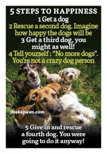 get a dog.jpg