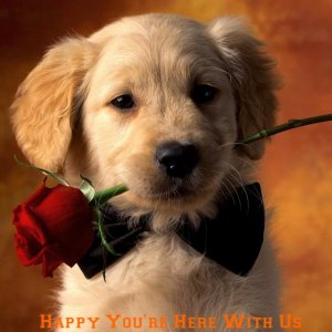 Happy You're Here.jpg