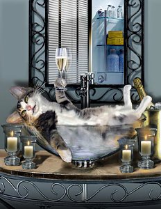 funny-pet-print-with-a-tipsy-kitty-gina-femrite.jpg