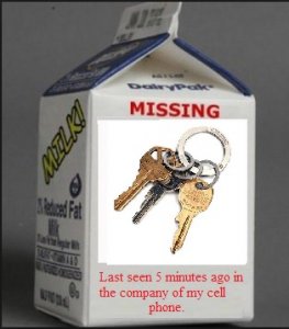 missing keys.jpg