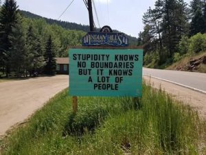 FB_IMG_1535011706955.jpg