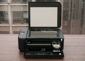 Canon_MG2220.jpg