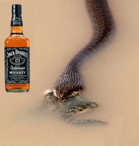 Fishing Jack Daniels story.jpg