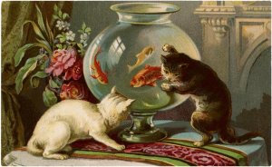 Cats-with-Goldfish-Clip-Art-GraphicsFairy.jpg