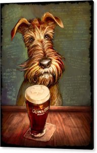 irish-stout-sean-odaniels.jpg