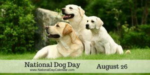 National-Dog-Day-August-26-1024x512.jpg