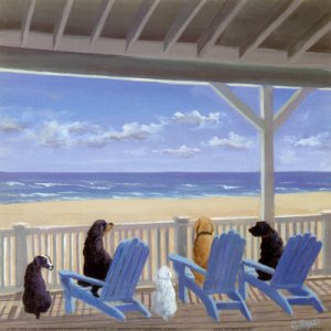 carol-saxe-dogs-on-deck-chairs.jpg