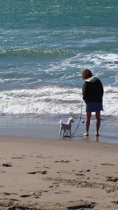 Yoda & June at the beach.jpg