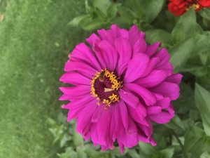 2A9F36FE-6BB3-43B6-BA72-E0DB9CF48451.jpg