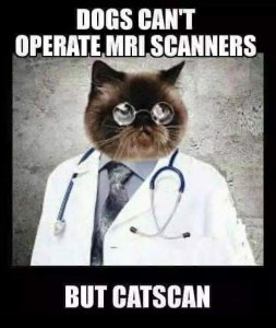 F0C9D785-1B4E-4995-A0A4-445813E340EC.jpeg