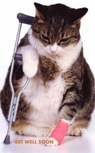 Get Well Soon.jpg