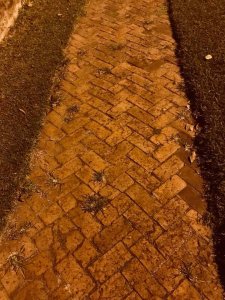 path.jpg
