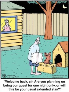 Dog house.jpg Dog house.jpg