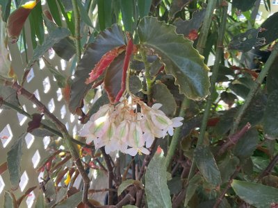 IMG_8276.jpeg