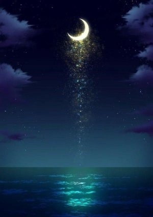night.jpg