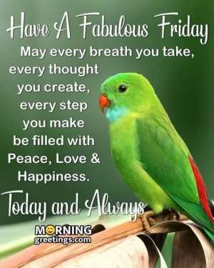 FB_IMG_1641575427010.jpg
