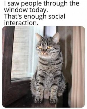 FB_IMG_1735787668908.jpg