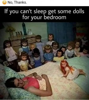 1000003786.jpg