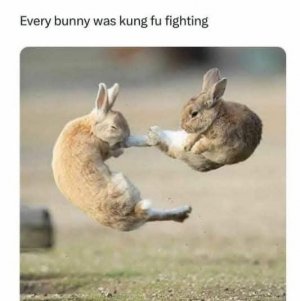 FB_IMG_1735893814427.jpg