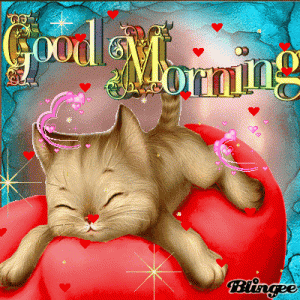 357077-Cute-Good-Morning-Kitty-Gif.gif