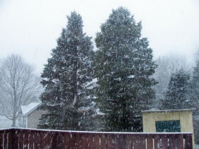 snow 1-2-25a.jpg