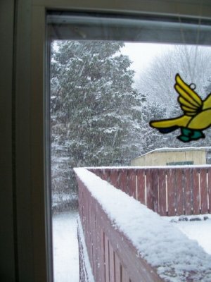 snow 1-2-25b.jpg