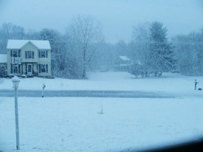 snow 1-2-25c.jpg