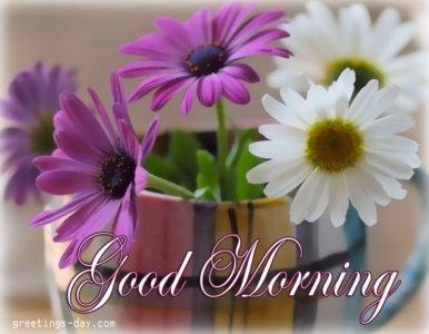 Amazing-Morning-Wish-wm13004-2302085886.jpg