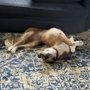 IMG_0902.jpeg