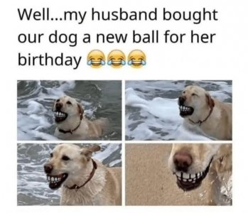 1000003793.jpg