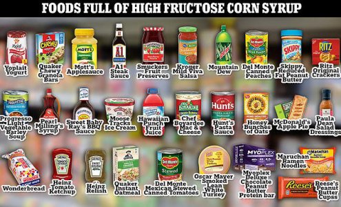 High Fructose Foods.jpg High Fructose Foods.jpg