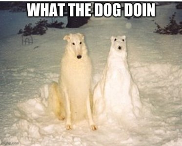 1736006926016.jpeg