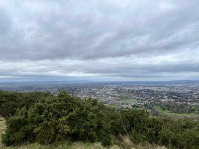IMG_0461.JPEG